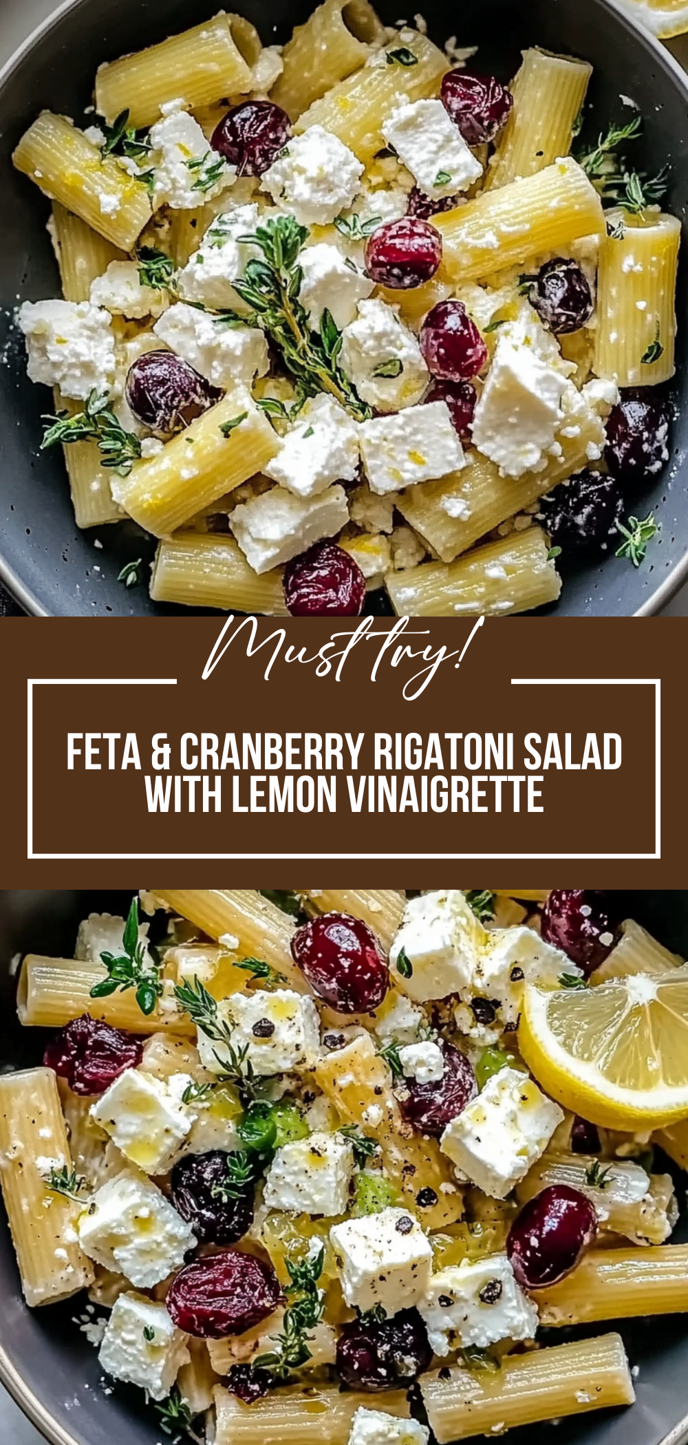 Feta & Cranberry Rigatoni Salad with Lemon Vinaigrette
