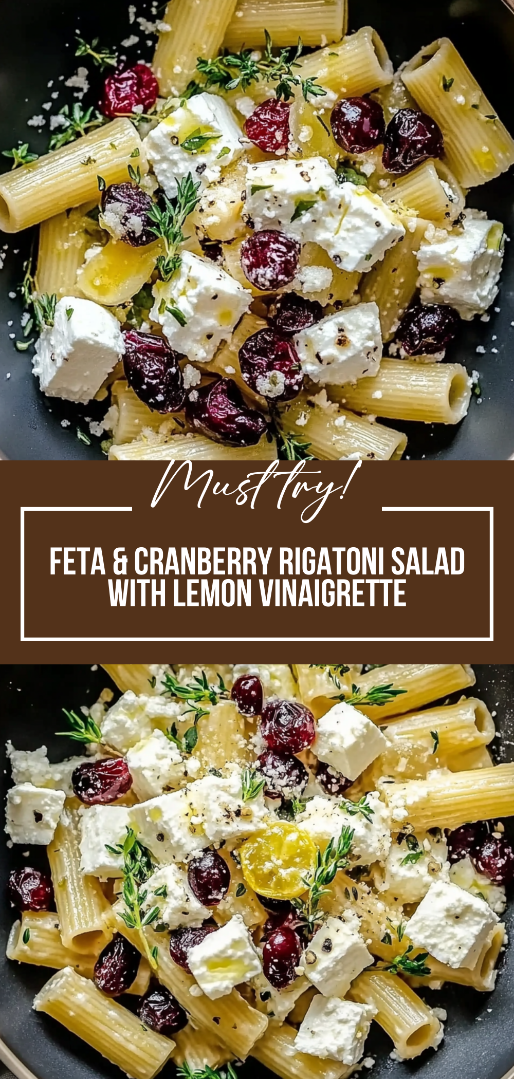 Feta & Cranberry Rigatoni Salad with Lemon Vinaigrette