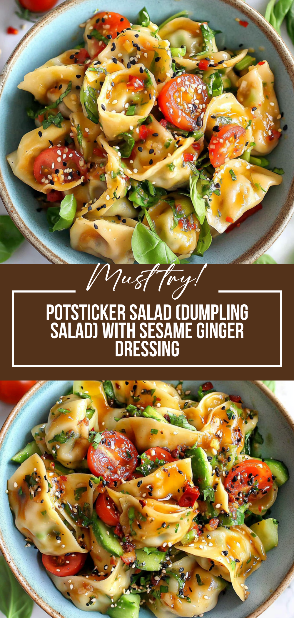 Potsticker Salad (Dumpling Salad)