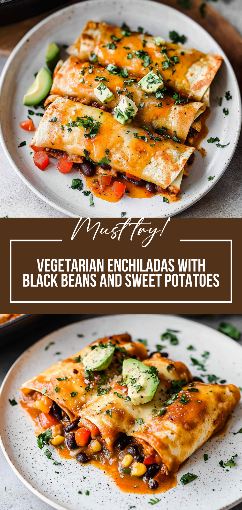 Vegetarian Enchiladas