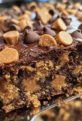 Peanut Butter Cup Dump Cake